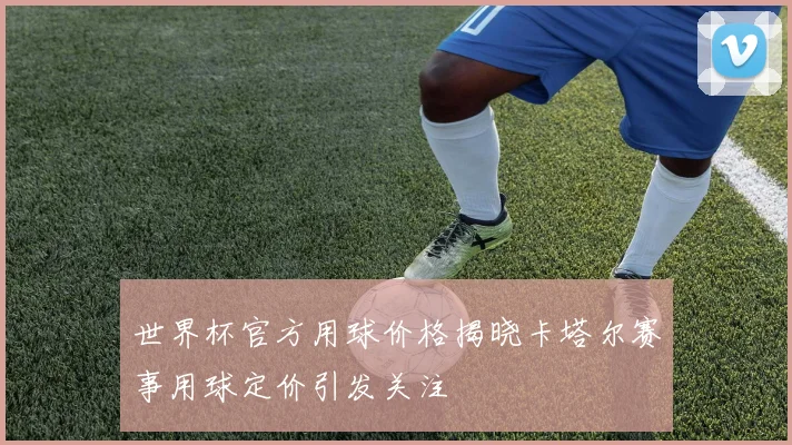 世界杯官方用球价格揭晓卡塔尔赛事用球定价引发关注
