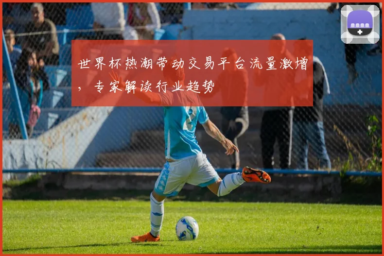 世界杯热潮带动交易平台流量激增，专家解读行业趋势